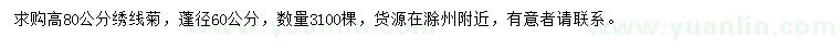 求購高80公分繡線菊