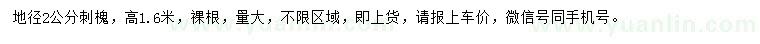求購(gòu)地徑2公分刺槐