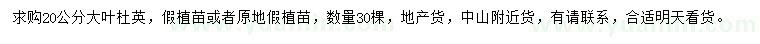 求購20公分大葉杜英