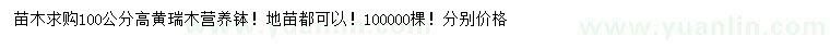求購(gòu)高100公分黃瑞木