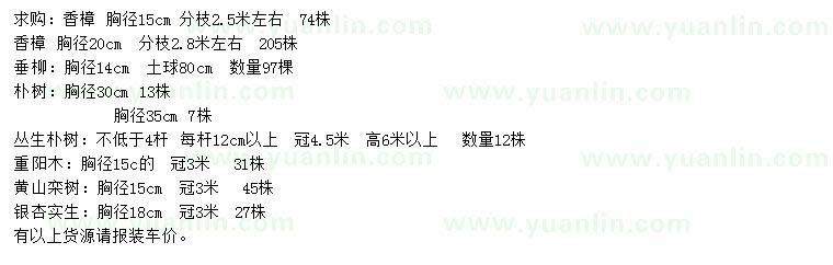 求購(gòu)香樟、垂柳、樸樹(shù)等