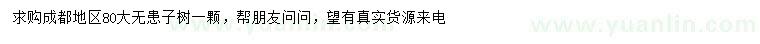 求購80公分大無患子