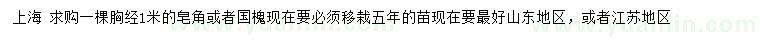 求購胸徑1米皂角、國槐