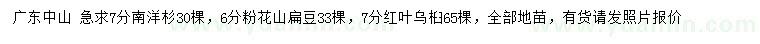 求購南洋杉、粉花山扁豆、紅葉烏桕