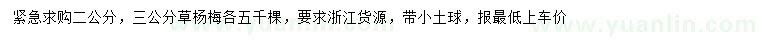 求購2、3公分草楊梅