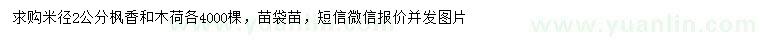求購米徑2公分楓香、木荷