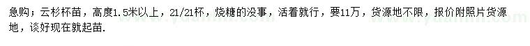求購高度1.5米以上云杉