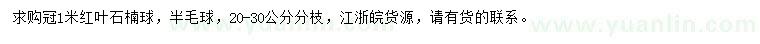 求購冠1米紅葉石楠球