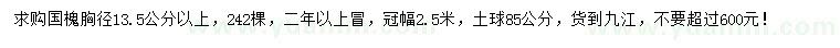 求購胸徑13.5公分以上國槐