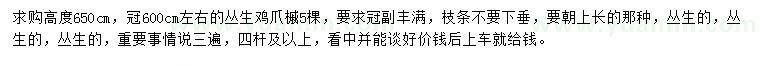 求購(gòu)高6.5米叢生雞爪槭