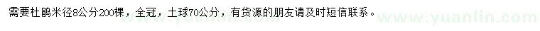 求購米徑8公分杜鵑樹