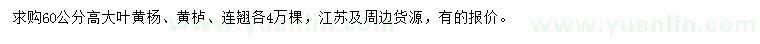 求購(gòu)大葉黃楊、黃櫨、連翹