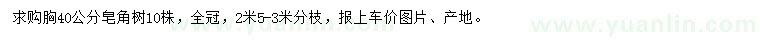 求購胸徑40公分皂角樹