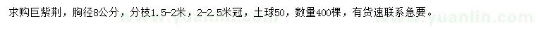 求購胸徑8公分巨紫荊