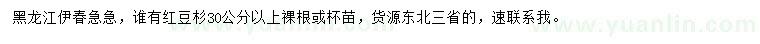 求購30公分以上紅豆杉