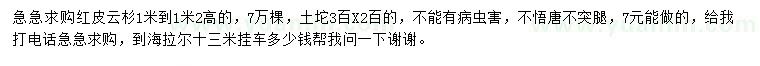 求購1-1.2米紅皮云杉