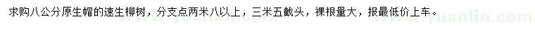 求購8公分速生柳樹