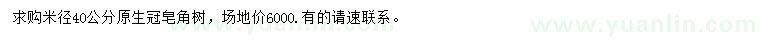 求購(gòu)米徑40公分皂角樹(shù)