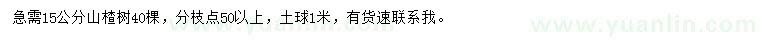 求購15公分山楂樹