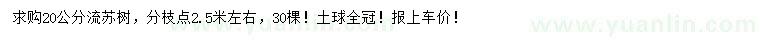 求購20公分流蘇樹