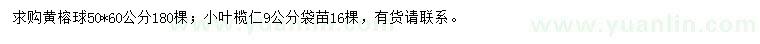 求購50*60公分黃榕球、9公分小葉欖仁