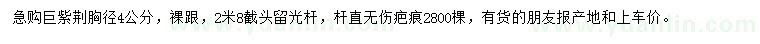 求購胸徑4公分巨紫荊
