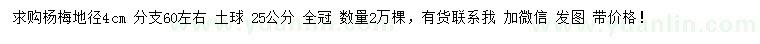 求購地徑4公分楊梅
