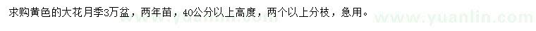 求購高40公分以上大花月季