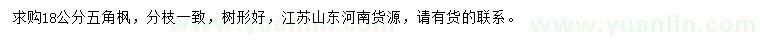 求購18公分五角楓