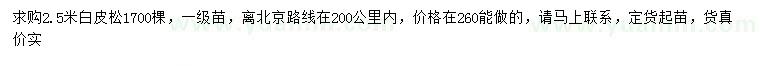求購2.5米白皮松