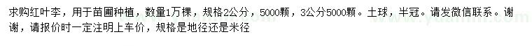 求購2、3公分紅葉李