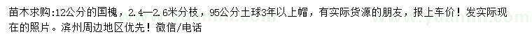 求購12公分國槐