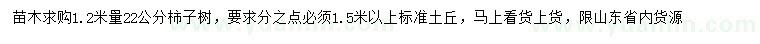 求購1.2米量22公分柿子樹