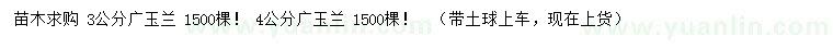 求購3、4公分廣玉蘭