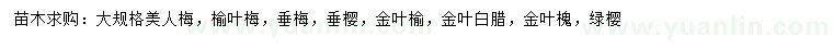 求購(gòu)美人梅、榆葉梅、垂梅等