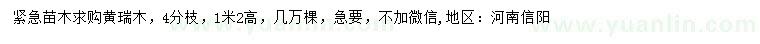 求購(gòu)高1.2米黃瑞木