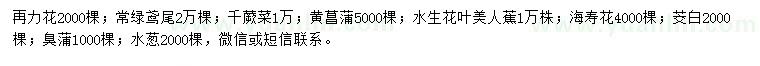 求購再力花、常綠鳶尾、千蕨菜等