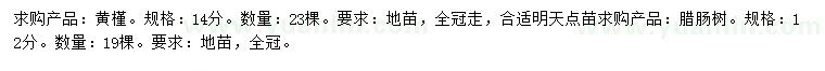 求購14公分黃槿、12公分臘腸樹