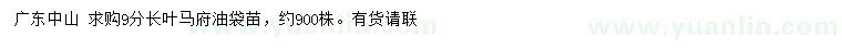 求購9公分長葉馬府油袋苗