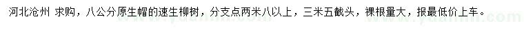 求購8公分原生帽速生柳樹