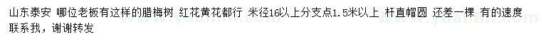 求購(gòu)米徑16公分以上臘梅樹