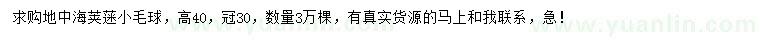 求購高40公分地中海莢蒾小毛球