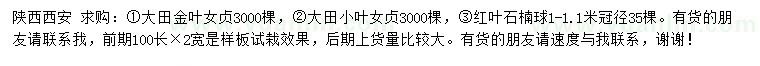 求購大田金葉女貞、大田小葉女貞、紅葉石楠球