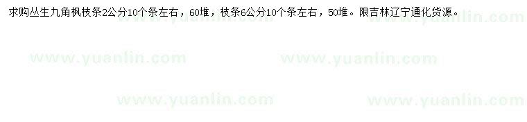 求購(gòu)2、6公分叢生九角楓