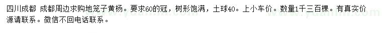 求購冠幅60公分地籠子黃楊