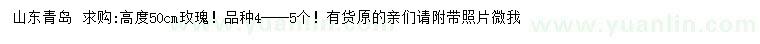 求購高度50公分玫瑰