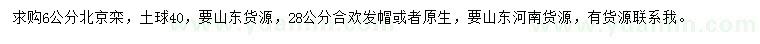 求購(gòu)6公分北京欒、28公分合歡