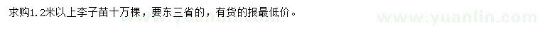 求購1.2米以上李子苗