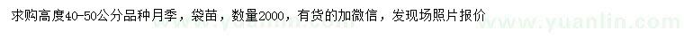 求購高度40-50公分品種月季