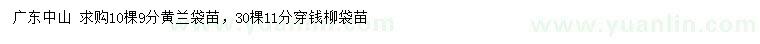 求購(gòu)9公分黃蘭袋苗、11公分穿錢(qián)柳袋苗